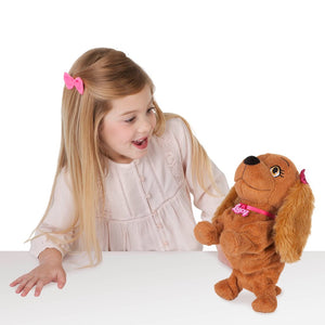 CLUB PETZ LUCY LAULAVA & TANSSIVA KOIRA