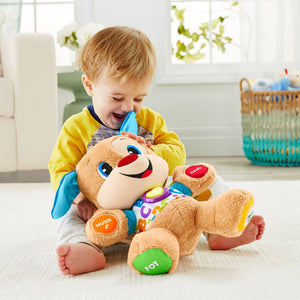 FISHER-PRICE SMART STAGES™ KOIRANPENTU - ruotsinkielinen