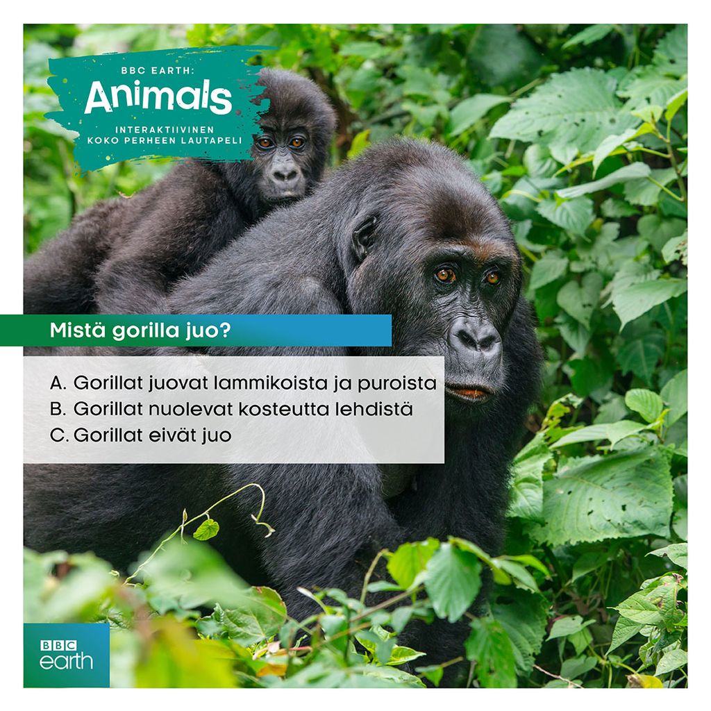 BBC EARTH ANIMALS PELI